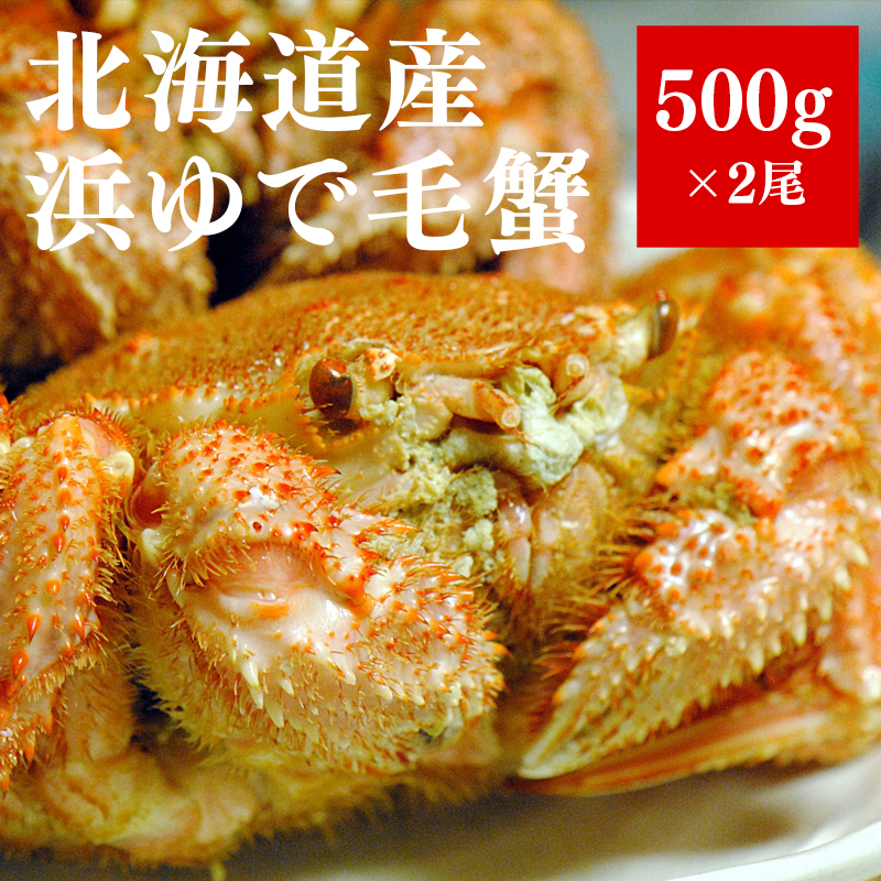 北海道産毛蟹 500g 2尾セット
